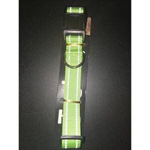 NWT Taglory Pet Collar XL Green White Stripe Adjustable Metal D Ring Dog